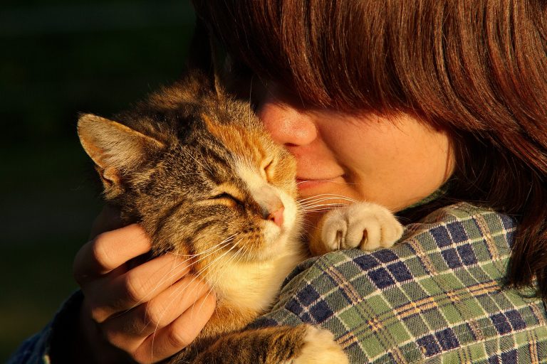 Animal-assisted Therapy Proven to Enhance Recovery Results