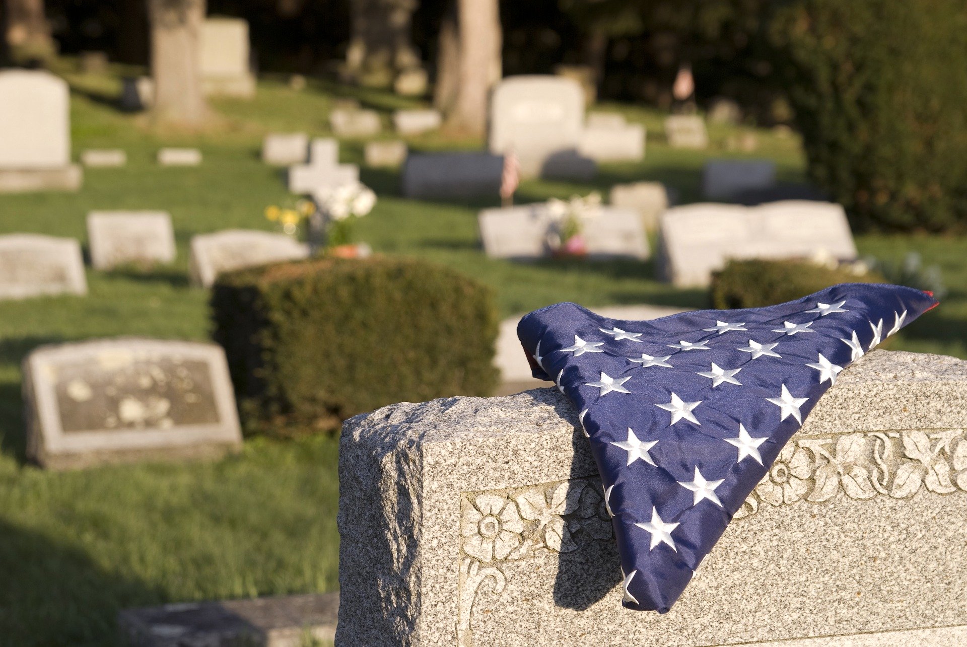 marijuana and the VA