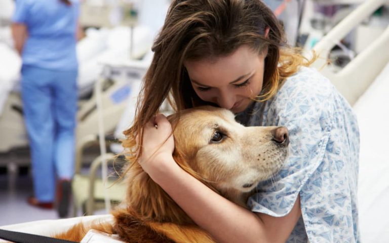 Animal-assisted therapy