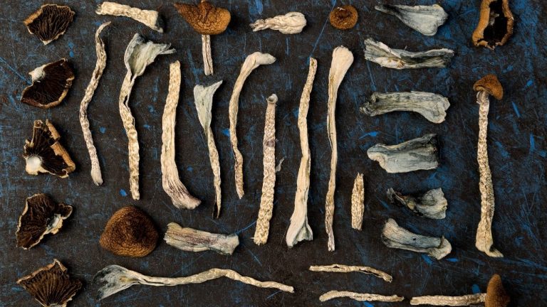 Magic mushrooms for treatment