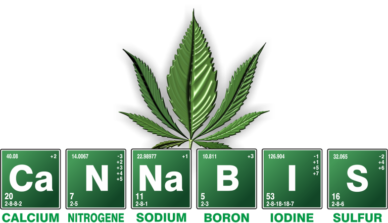 cannabis