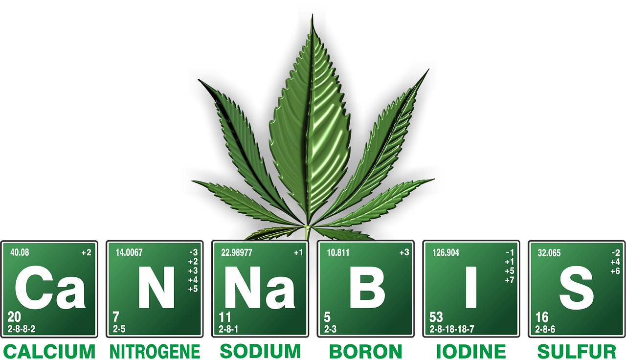 cannabis