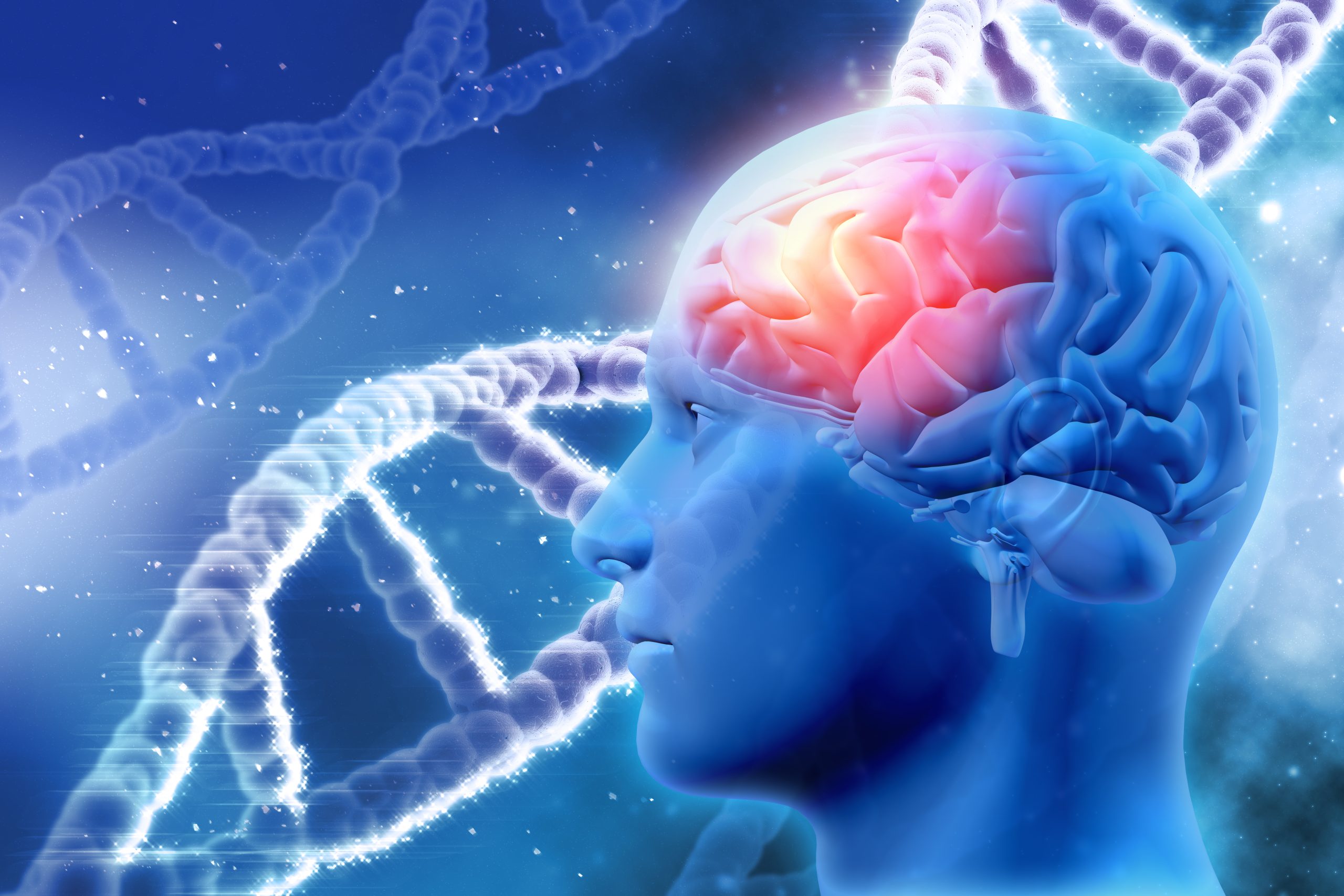 Exploring the Neurobiology of Addiction and How Substances Affect the Brain in Oakland, California