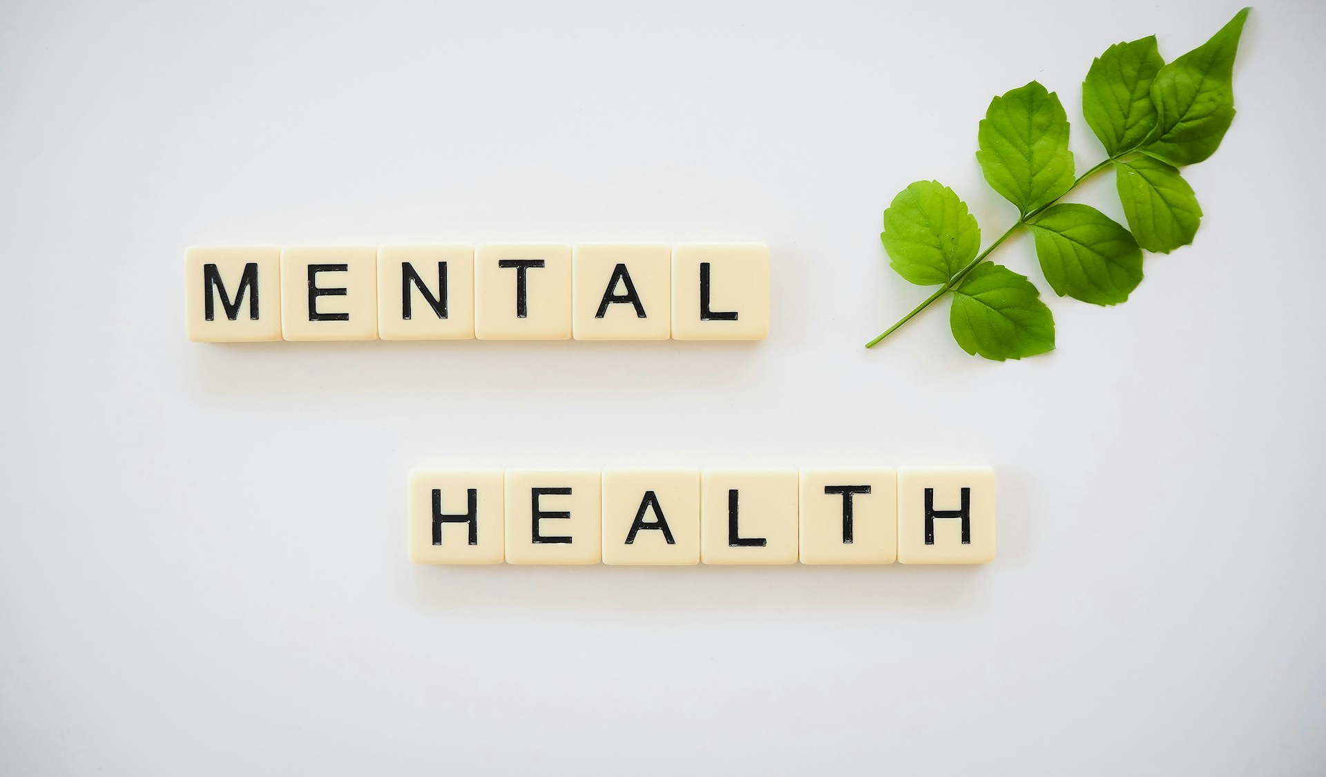 Techniques for Busy Mental Health Practitioners