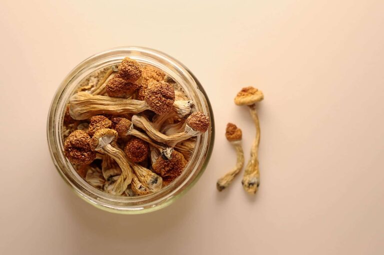 How Long Do Shrooms Last?