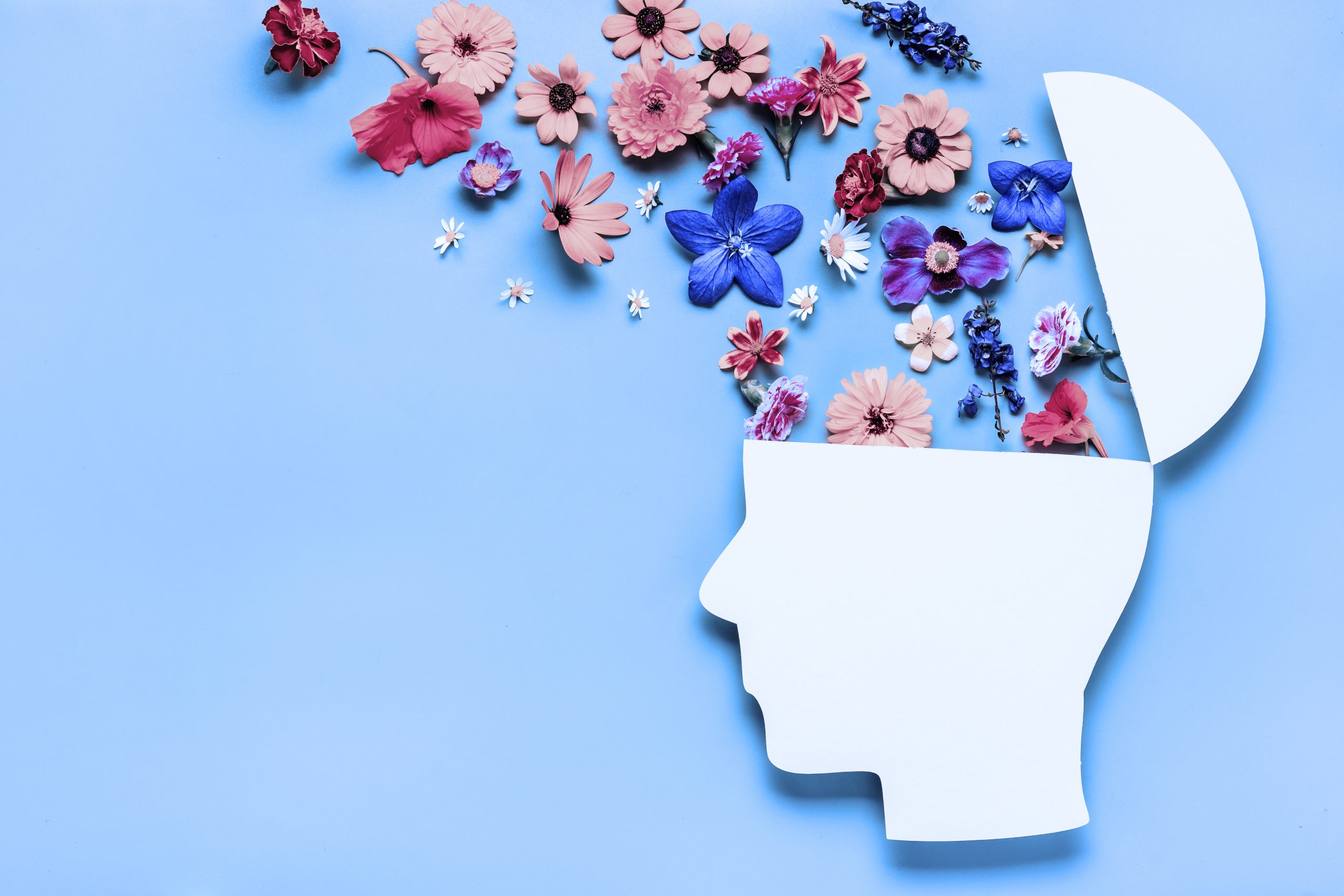 Mental Health and Wellness: Tips for a Balanced Life