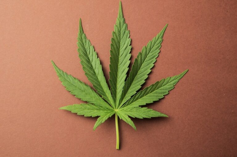 Can You Overdose on Weed?