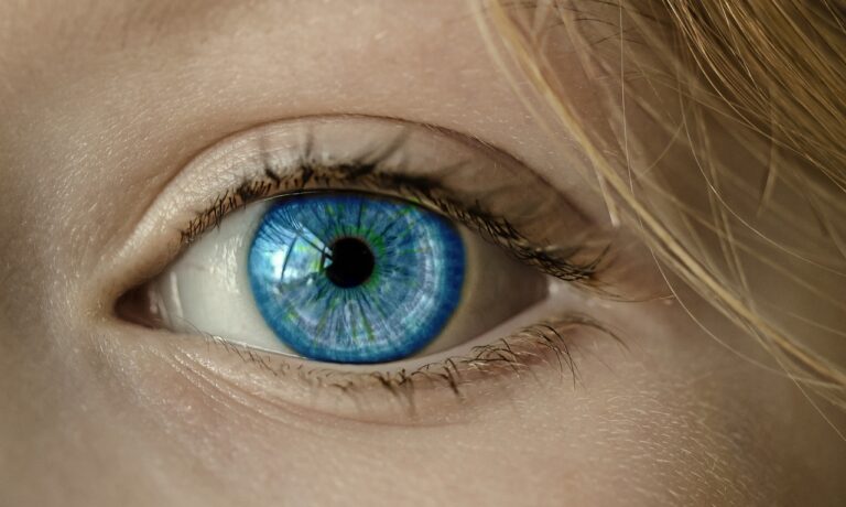 Your Vision Can Predict Dementia