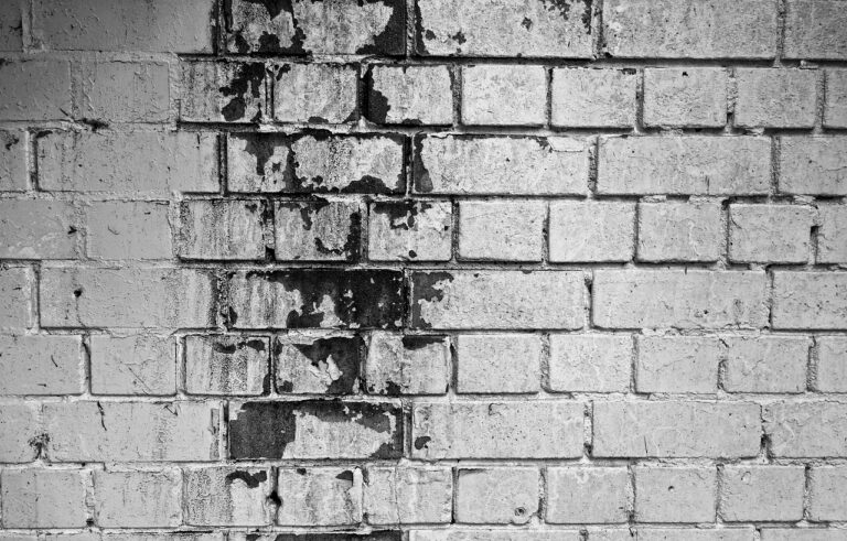 10 warning signs of mold toxicity
