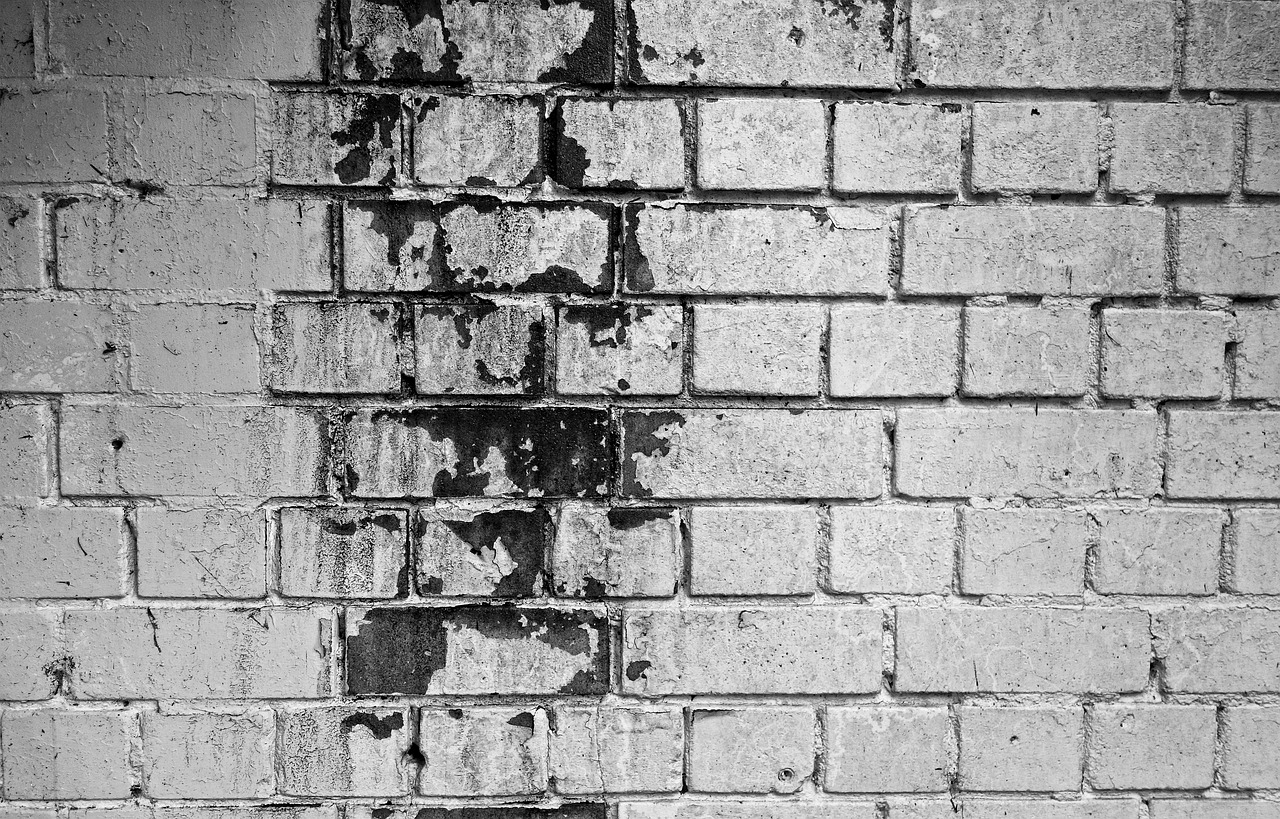 10 warning signs of mold toxicity